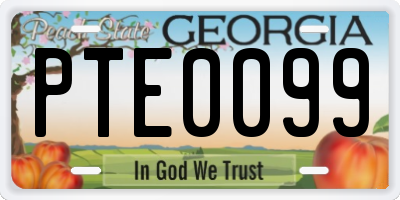 GA license plate PTE0099