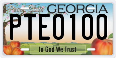 GA license plate PTE0100