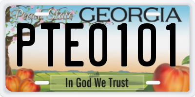 GA license plate PTE0101
