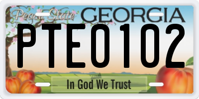 GA license plate PTE0102