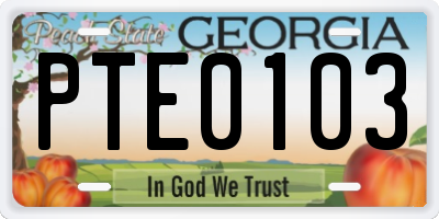 GA license plate PTE0103