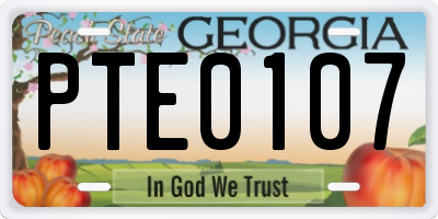 GA license plate PTE0107