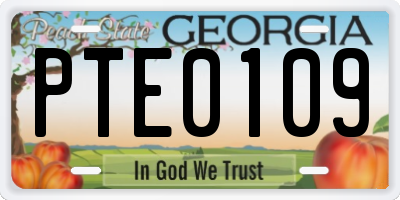 GA license plate PTE0109