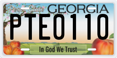 GA license plate PTE0110