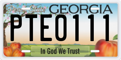 GA license plate PTE0111