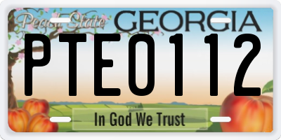 GA license plate PTE0112