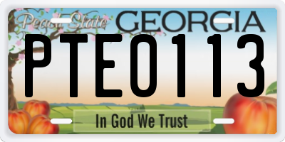 GA license plate PTE0113