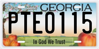 GA license plate PTE0115