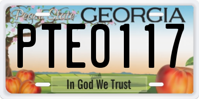 GA license plate PTE0117