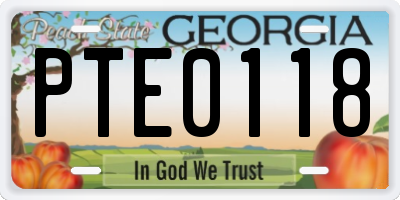 GA license plate PTE0118