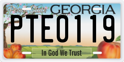 GA license plate PTE0119