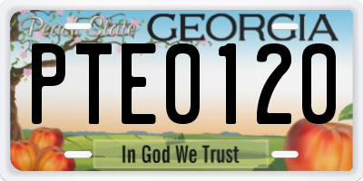 GA license plate PTE0120