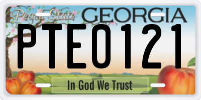 GA license plate PTE0121