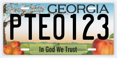 GA license plate PTE0123