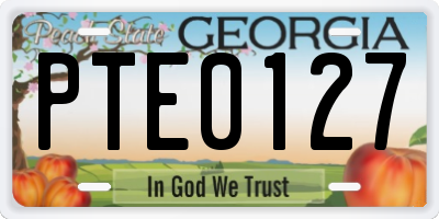 GA license plate PTE0127