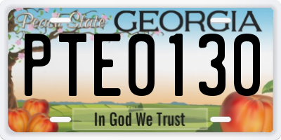 GA license plate PTE0130
