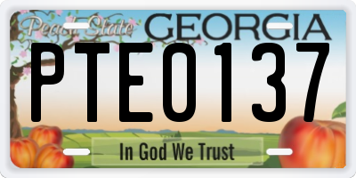 GA license plate PTE0137