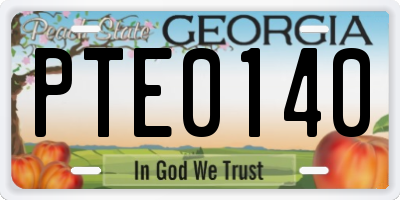 GA license plate PTE0140