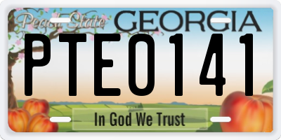 GA license plate PTE0141