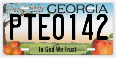 GA license plate PTE0142
