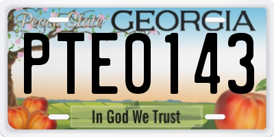 GA license plate PTE0143