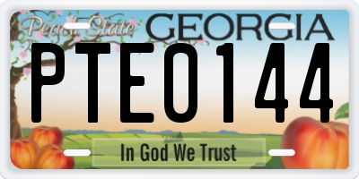 GA license plate PTE0144