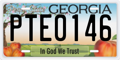 GA license plate PTE0146