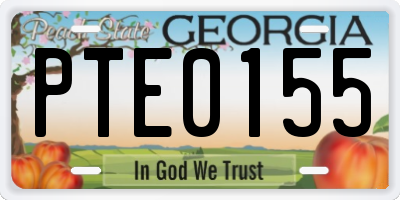 GA license plate PTE0155