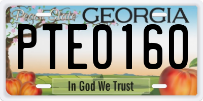 GA license plate PTE0160