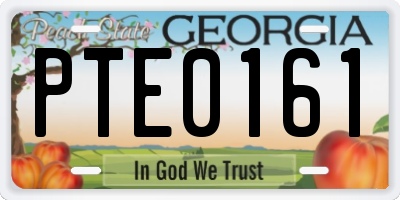 GA license plate PTE0161