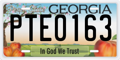 GA license plate PTE0163