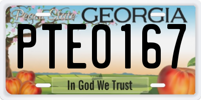 GA license plate PTE0167