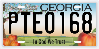 GA license plate PTE0168