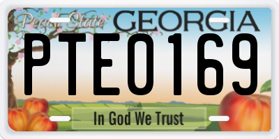 GA license plate PTE0169