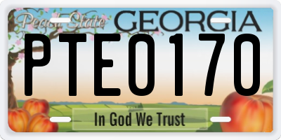 GA license plate PTE0170