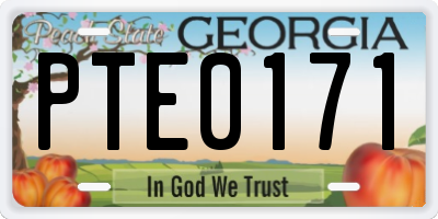GA license plate PTE0171