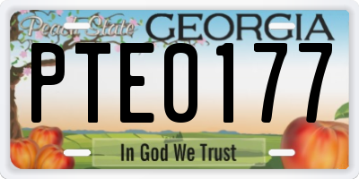 GA license plate PTE0177
