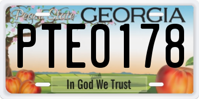 GA license plate PTE0178