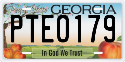 GA license plate PTE0179