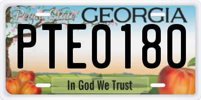 GA license plate PTE0180