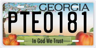 GA license plate PTE0181