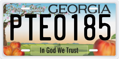 GA license plate PTE0185