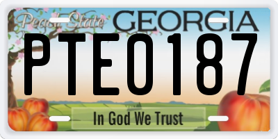 GA license plate PTE0187