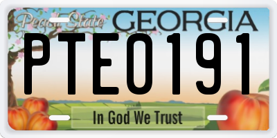 GA license plate PTE0191