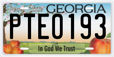 GA license plate PTE0193