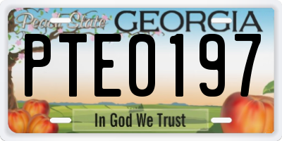 GA license plate PTE0197
