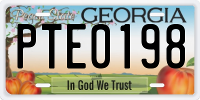 GA license plate PTE0198