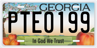 GA license plate PTE0199