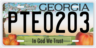 GA license plate PTE0203