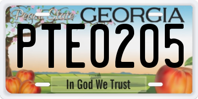 GA license plate PTE0205